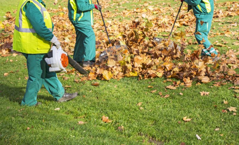 Local Roof Leaf Blowing pros at work