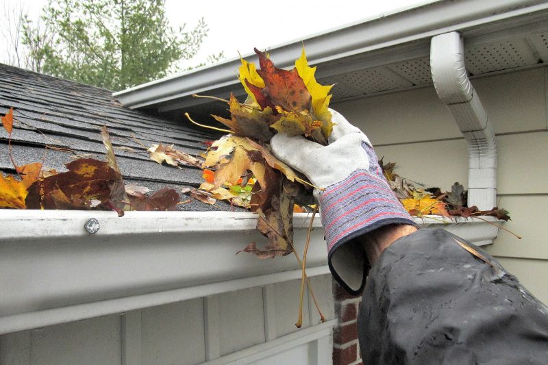 Roof Leaf Blowing