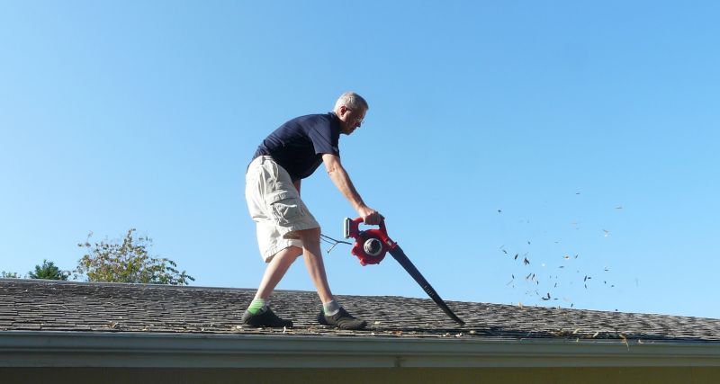 Roof Leaf Blowing