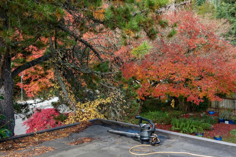 Roof Leaf Blowing