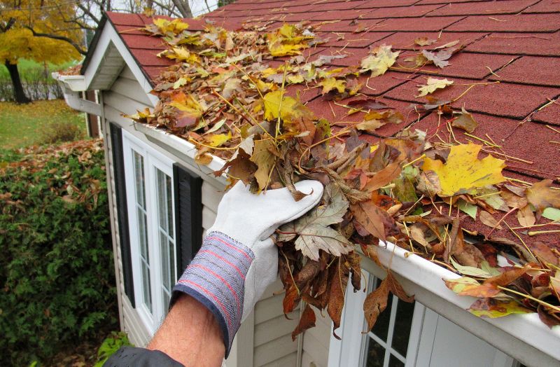 Gutter and Downspout Clearing