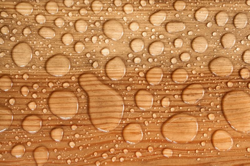 Deck Sealing in Renton, WA