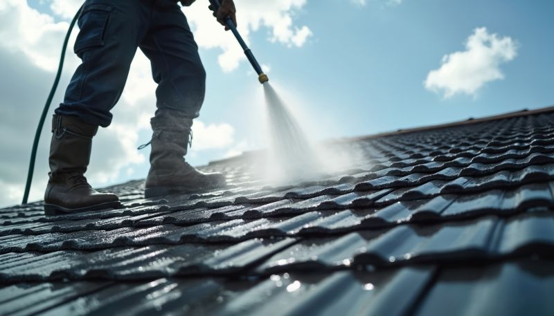 How Roof Cleaning Extends Shingle Lifespan