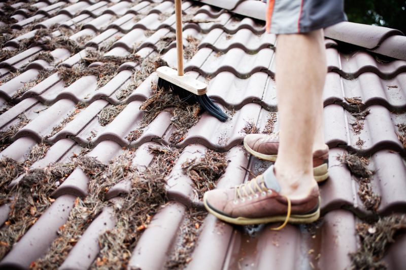 High Tree Density Area