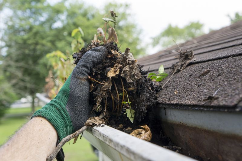 Before and After Roof Cleaning