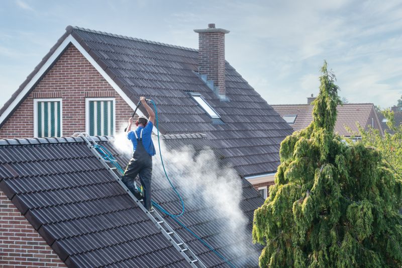 Experienced Roof Cleaners